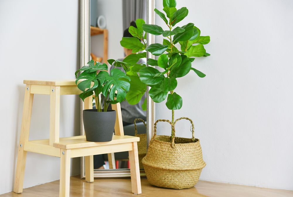 Breng meer groen aan in huis. Zet wat leuke plantjes op een krukje neer. 